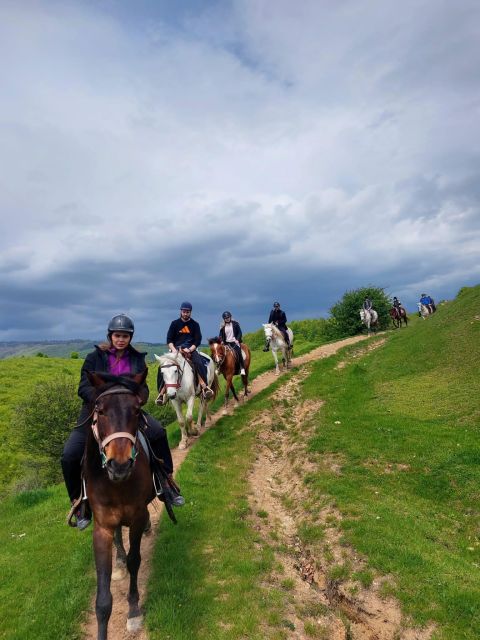 Bucharest: Horseback In the Nature and Traditional Lunch - Itinerary