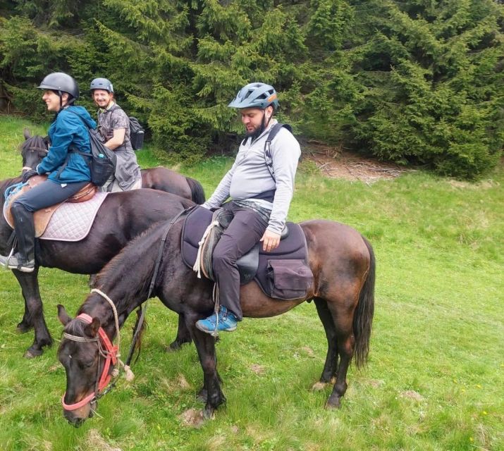 Bucharest: Horseback In the Nature and Traditional Lunch - Meeting Point and Travel