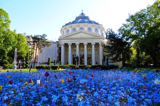 Bucharest Layover Tour (6 - Hour Private City Tour Between Flights) - About Your Stay