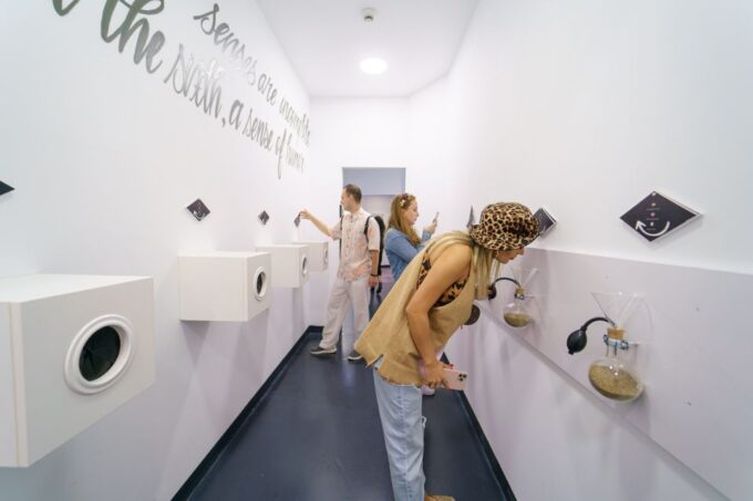 Bucharest: Museum of Senses - Customer Ratings and Reviews