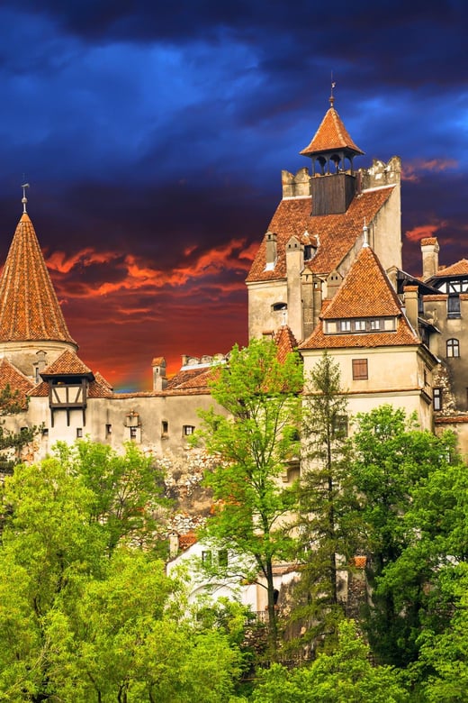 Bucharest: Peles Castle, Bran Castle, & Brasov Full-Day Tour - Key Points