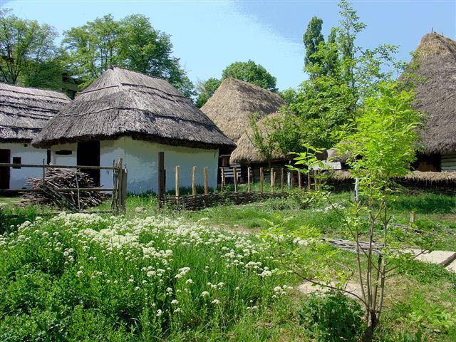 Bucharest: Private City Tour Guided Experience - Pricing and Cancellation
