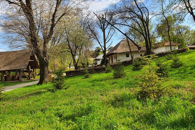 Bucharest Private Tour With Dracula's Grave and CeaușEscu Mansion - Pickup and Booking Information
