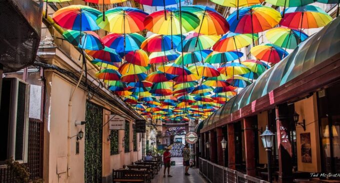 Bucharest: Private Walking Tour & Local Food Tasting - Frequently Asked Questions