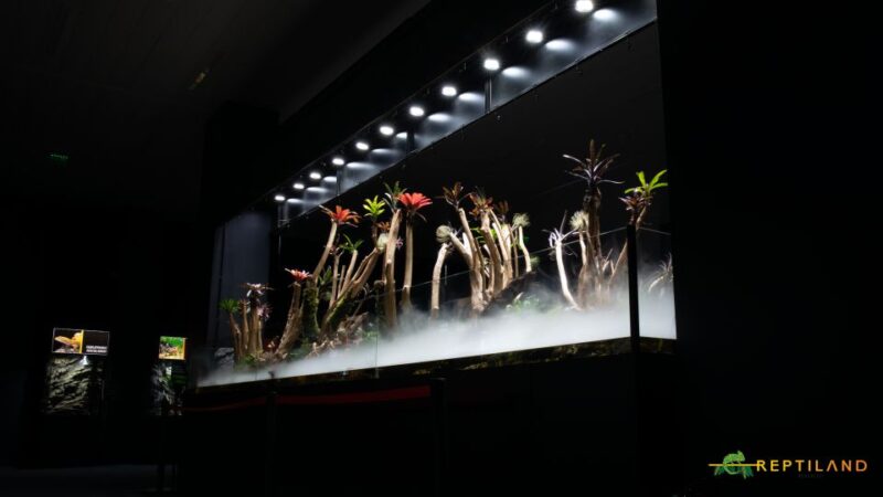 Bucharest: Reptiland Bucharest Entry Ticket - Exhibit Highlights