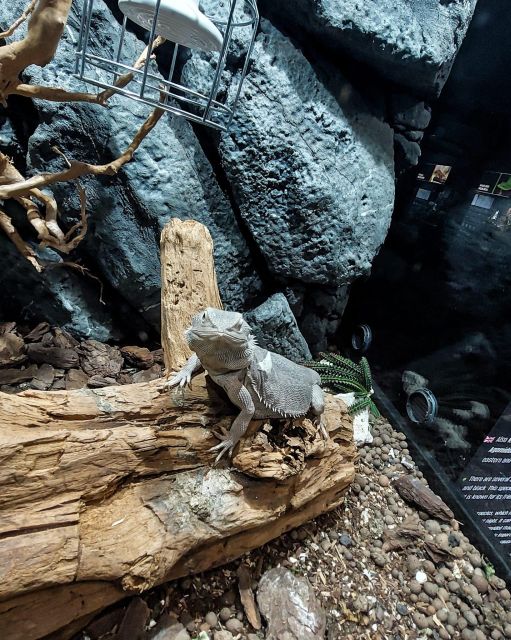 Bucharest: Reptiland Bucharest Entry Ticket - Customer Reviews