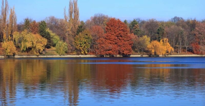 Bucharest Sightseeing Tour - Itinerary Highlights