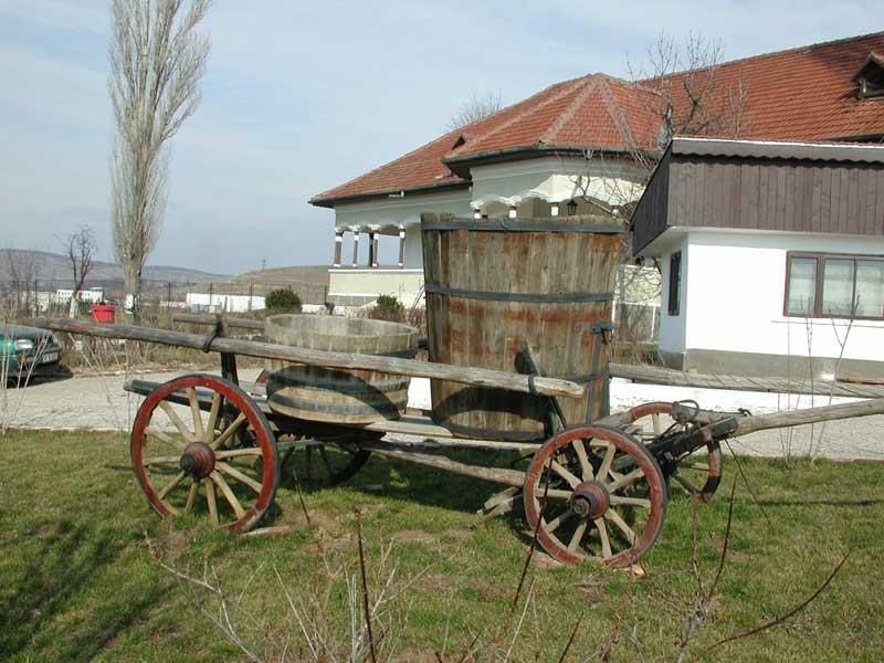 Bucharest: Slanic Salt Mines and Wine Tasting Tour - Inclusions