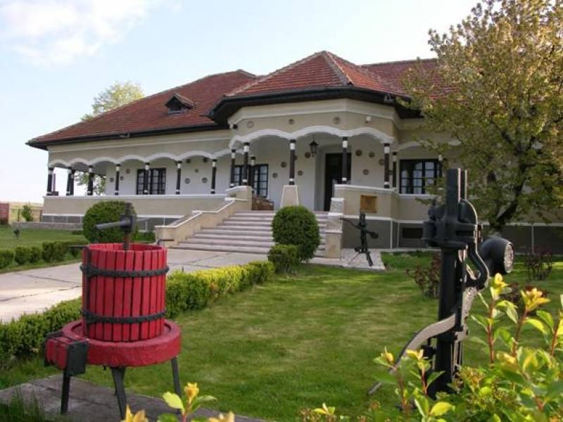 Bucharest: Slanic Salt Mines and Wine Tasting Tour - Restrictions