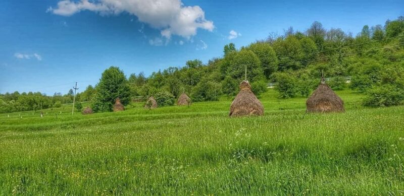 Bucharest: The Biggest Salt Mine in Europe & Wine Tasting - Discovering the Salt Mines Microclimate
