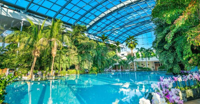 Bucharest: Therme Bucuresti Transfer With Optional Ticket - Thermally Heated Pools and Water Slides