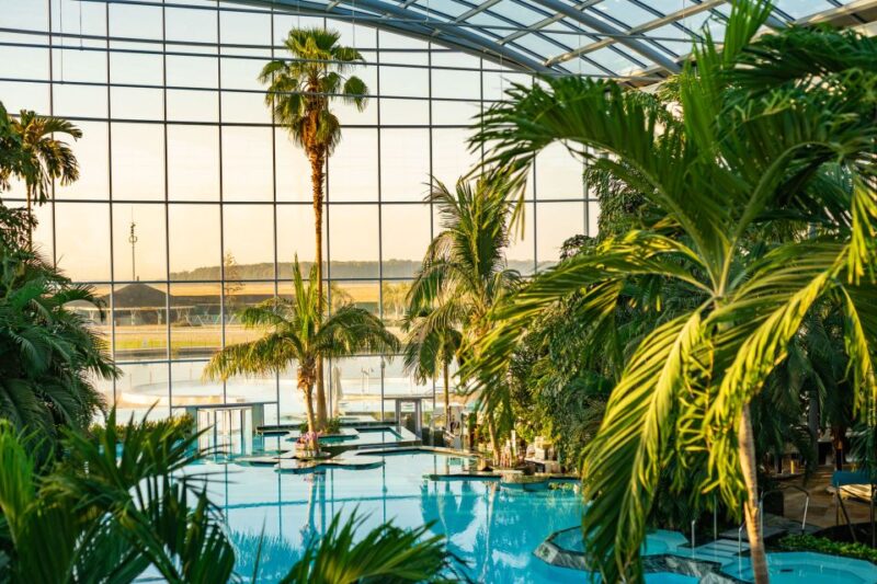 Bucharest: Therme Bucuresti Transfer With Optional Ticket - Access to Galaxy and The Palm