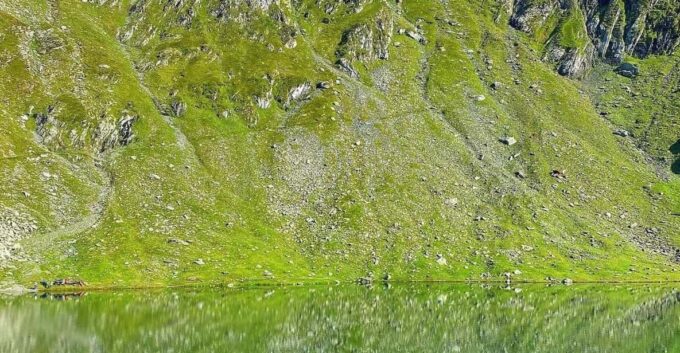 Bucharest: Transfagarasan Highway - Balea Lake Day Trip - Booking and Cancellation