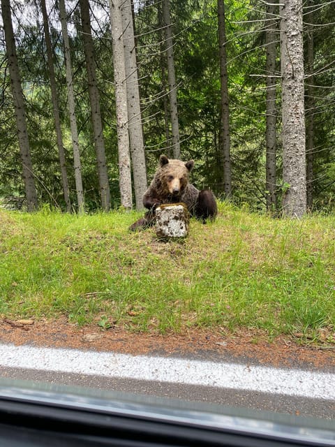 Bucharest: Transfagarasan Road, Famous & Spectacular - Tour Inclusions and Group Size