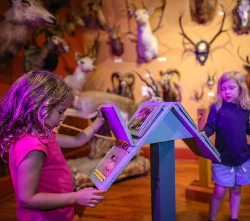 Buckhorn Saloon & Museum / Texas Ranger Museum Entry Ticket - Why This Tour Offers Great Value