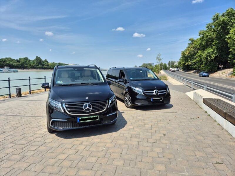 Budapest: Airport to Hotel Private Transfer by Electric Car - Accessibility Considerations