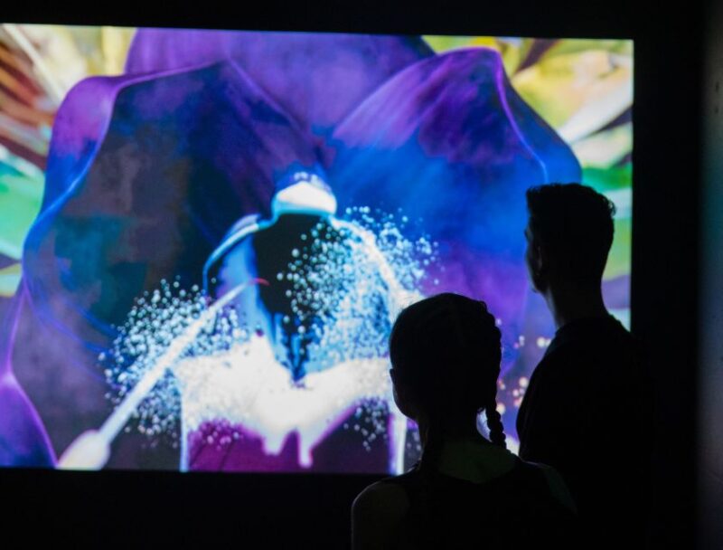 Budapest: Cinema Mystica Entry Ticket - Installation Highlights