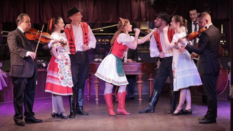 Budapest: Danube Cruise With Folk Dancing and Drinks - Accessibility and Age Restrictions