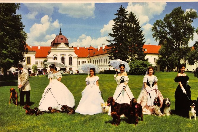 Budapest Gödöllő Palace Royal ‘Sisi' Residence Half-Day Tour - Palace History