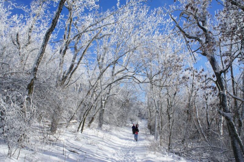 Budapest: Hiking Tour in the Buda Hills - Participant Information