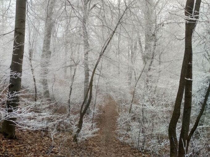 Budapest: Hiking Tour in the Buda Hills - Frequently Asked Questions