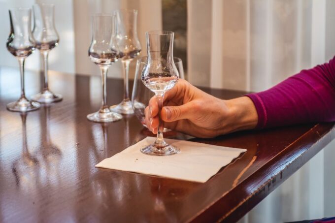 Budapest: Hungarian Whisky, Gin, and Pálinka Tasting - Meeting Point and Transportation