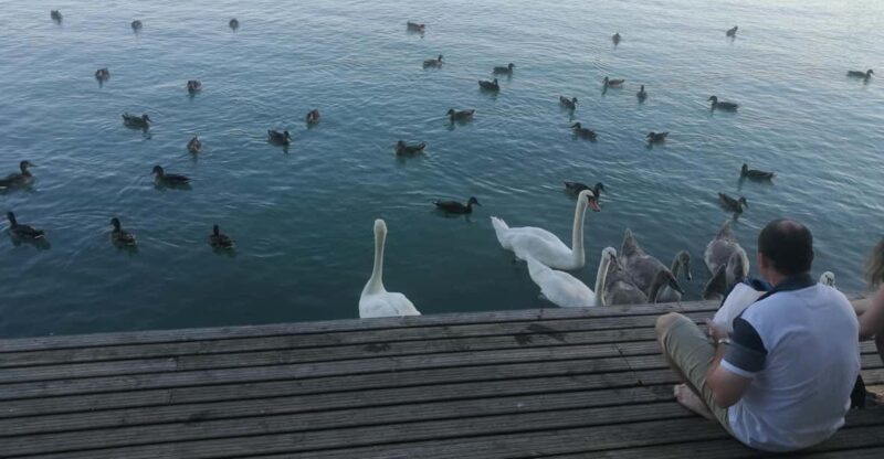 Budapest: Lake Balaton & Herend Porcelain Private Day Tour - Herend Porcelain Manufacturer