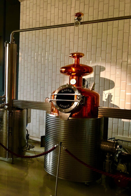 Budapest - Opera Gin Distillery Tour - Recap