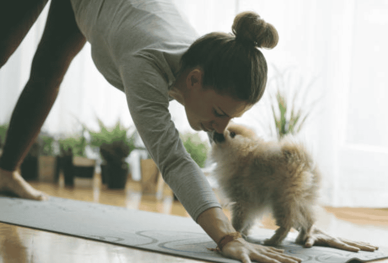 Budapest: Puppy Yoga Class - What to Expect During the Class