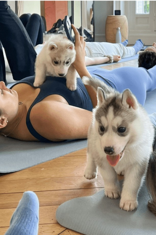 Budapest: Puppy Yoga Class - Yoga and Puppy Interaction