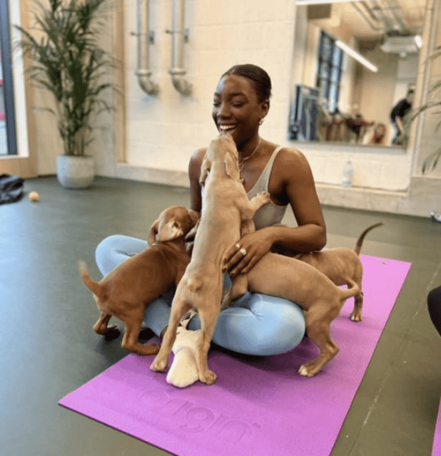 Budapest: Puppy Yoga Class - Suitability for All Skill Levels