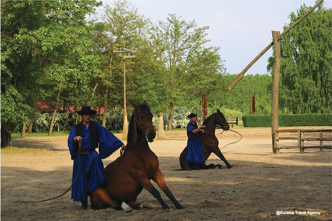 Budapest Puszta Day Trip to Kecskemet Icluding Horse Show & Lunch - Equestrian Show Highlights
