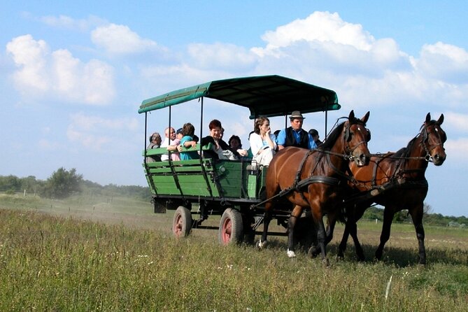 Budapest Puszta Day Trip to Kecskemet Icluding Horse Show & Lunch - Savoring the Hungarian Lunch