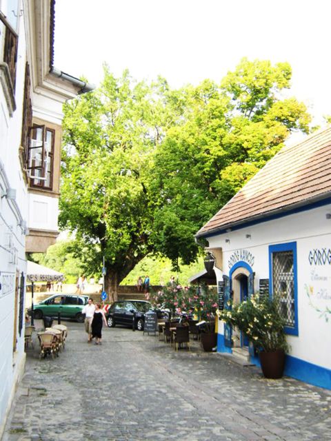 Budapest: The Fabulous Danube Bend Full-Day Tour - What to Bring