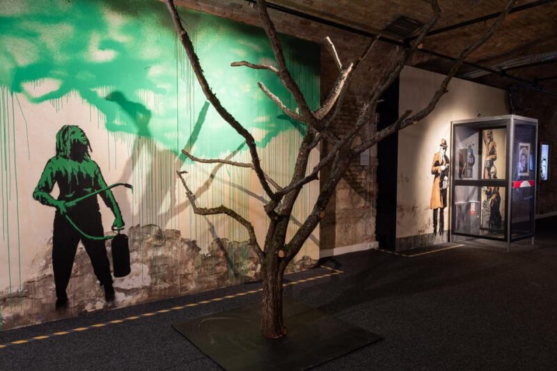 Budapest: The World of Banksy Budapest Entry Ticket - Exhibition Overview and Highlights