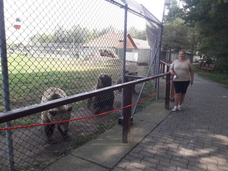 Budapest: Transport & Guided Tour of Bear and Wolf Sanctuary - Inclusions
