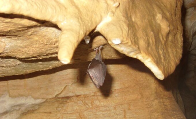 Budapest: Underground Cave Walking Tour - Customer Reviews and Ratings