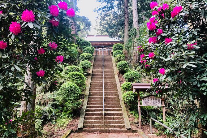 Buddha, Bamboo & Zen - Bespoke Kamakura Private Walking Tours - Meeting and Pickup