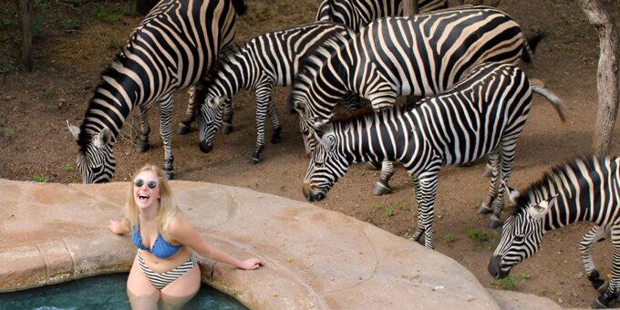 Budget 4 Day Kruger Park All Inclusive Safari From Joburg! - Traveler Requirements