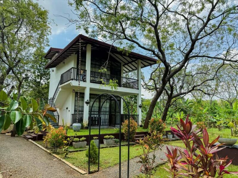 Budget Yala Safari: 1-Night Hostel Stay & Meals Included - The Accommodation: Go Yala Hostel