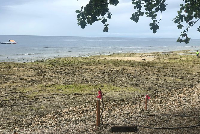 Budgeted Bohol Whale Shark - Snorkeling Equipment and Safety