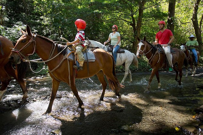 Buena Vista Combo Tour: Ziplining and Hot Springs From Guanacaste - Unforgettable Adventure in Guanacaste