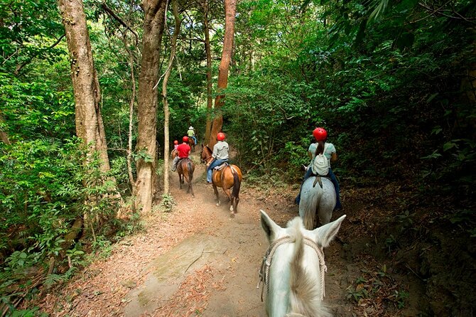 Buena Vista Mega Combo: Full Day With Private Guided Multi-Activities 8 in 1 - Key Points