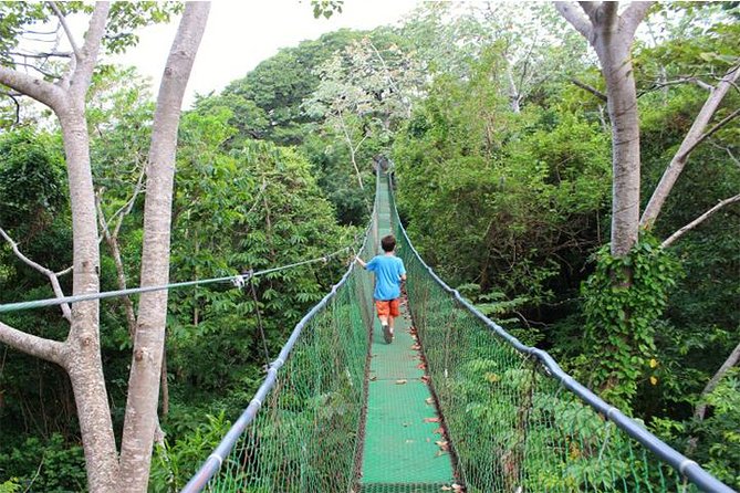 Buena Vista Private Tour With Zipline and Horseback Riding - Horseback Riding