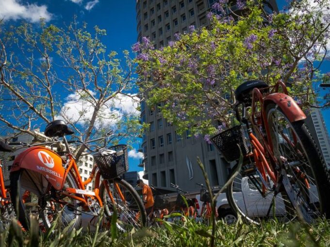 Buenos Aires Bike Tour: South or North Circuit - Suitability and Recommendations