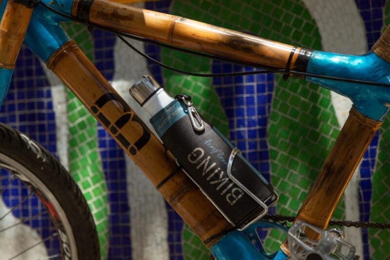 Buenos Aires: Biking Tour - Guiding Expertise