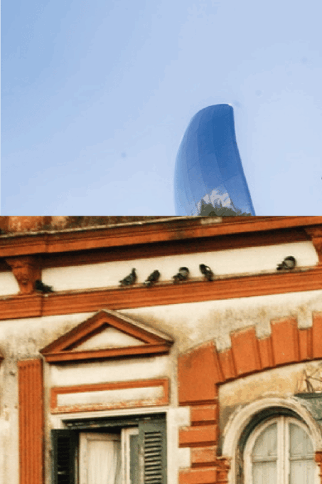 Buenos Aires: City Tour for Cruise Passengers - Contact Information