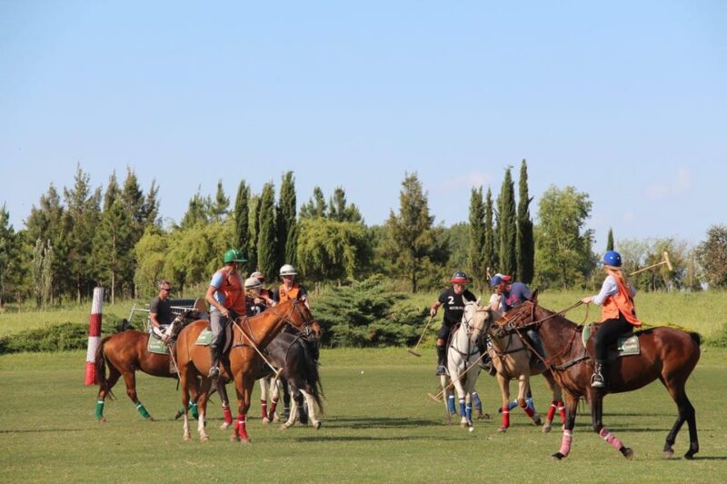 Buenos Aires: Horseback Riding and Polo Tour With Lunch - Key Points