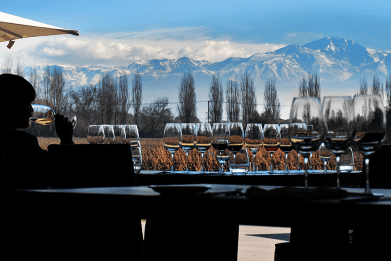 Buenos Aires: Mendoza Wine Paradise Day Trip With Airfare - Itinerary Details