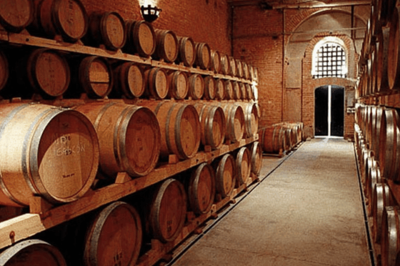 Buenos Aires: Mendoza Wine Paradise Day Trip With Airfare - Inclusions and Exclusions
